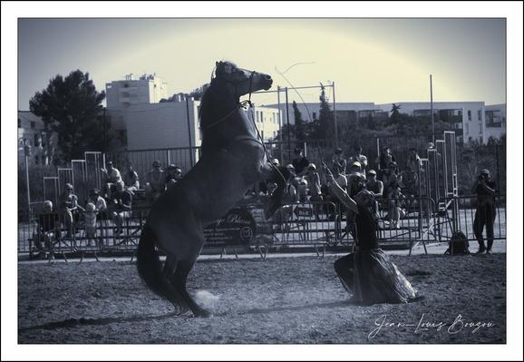 A dark-gray horse is rearing up in the air, its front legs lifted high. A person clad in dark clothing is gripping a long rope or whip, directing the horse's movements. Spectators are seated in bleachers behind metal fencing surrounding an outdoor arena. The scene is monochromatic, a muted blue/gray tone, with buildings and trees in the background. The ground is a light-gray dirt/sand texture.