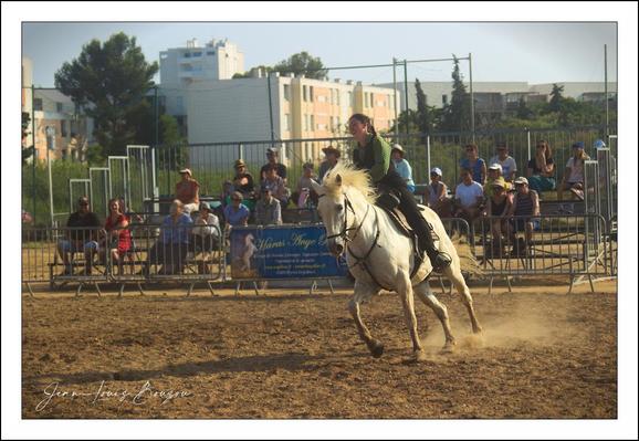 A light-colored horse, likely a light gray or white, is ridden by a woman dressed in a dark-green top and dark-colored pants. 
The horse is in motion, cantering or galloping, on a light brown dirt or sand-covered arena.  A noticeable amount of dust is kicked up around the horse's hooves.
Rows of spectators sit on bleachers/benches separated from the arena by metal fencing. They are watching the equestrian performance. 
The background includes multi-story buildings and greenery, suggesting an outdoor venue, possibly in a town or city.