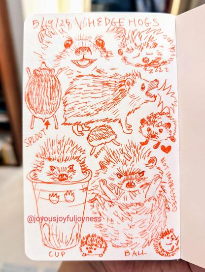 Sketchbook page of orange pen drawings of hedgehogs. At the top is the date 5/19/25 and Hedgehogs. There are 10 hedgehog drawings on the page. Top row is a close up of a smiling hedgehog and a sleeping one with zzz's coming off of it. Next below is a splooting hedgehog ("sploot"), a yelling one in profile, a small hedgehog butt ("booty"), and a tiny one with a heart. Bottom of the page are two larger drawings of hedgehogs, one in a cup ("cup") and one as a ball ("ball") below them are two tiny drawings of hedgehogs.