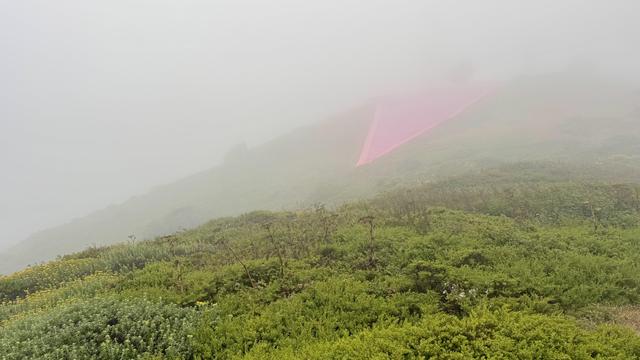 Green scrub on a round hill; in the distance another hill obscured by fog holding a giant pink triangle