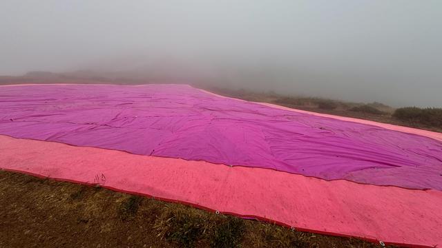 Two tone pink tarps leading down hill into thick fog