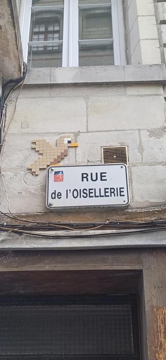 Angers - Maine-et-Loire