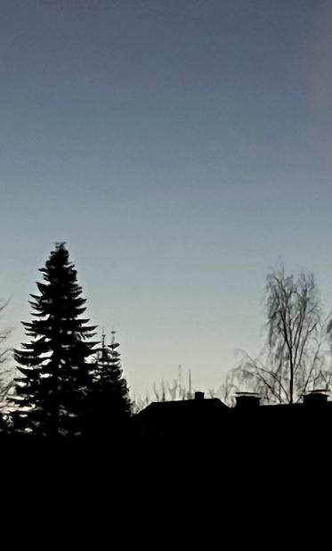 Blaue Stunde. In der unteren Bildhälfte links ein Nadelbaum, dann Hausdächer und rechts ein kahler Baum. Alles hebt sich schwarz wie ein Scherenschnitt vor dem Abendhimmel ab. In der oberen Bildhälfte blass dunkelblauer Abendhimmel