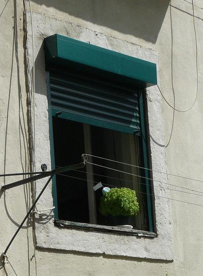 A imagem mostra uma janela de um edifício oitocentista pintado de cor clara, com uma moldura em pedra e caixilharia e persiana exterior em alumínio, pintadas de verde escuro, esta última parcialmente corrida. Uma das vidraças encontra-se aberta, deixando ver a escuridão no interior. No parapeito, em madeira degradada e pintura verde escuro desbotada está um vaso escuro com um manjerico verde vivo viçoso, e respectiva quadra-bandeirinha, um elemento tradicional das celebrações dos santos populares em Lisboa. Defronte da janela um estendal de roupa vazio e, ao longo da parede, são visíveis, na vertical, vários cabos e fios elétricos