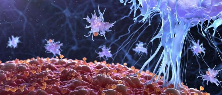 Pancreatic cancer vaccines eliminate disease in preclinical studies