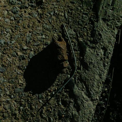 the screw and debris in question