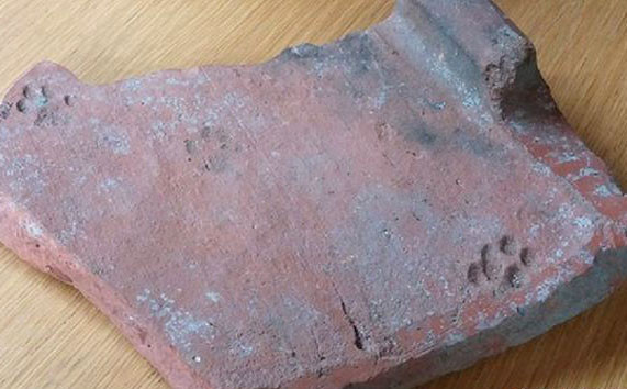 This photo shows a reddish roof tile with two distinct cat prints from around 100 AD.