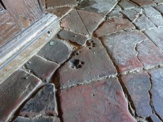 This photo shows 2 1/2 little cat prints in the flooring of an early medieval church.
