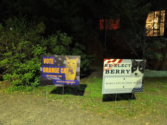 Two faux campaign signs, outside in the grass. One says "Vote orange cat; Bike path mayor 2025", the other says " re-elect Berry: Make cats outside again", and has a photo of a black and white checkered cat.