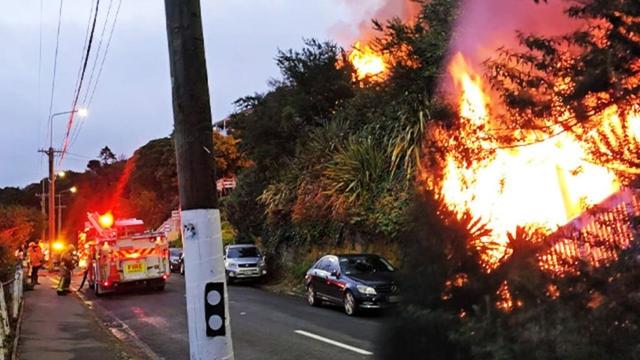 St Bernard dog feared dead after Lyttelton blaze found alive