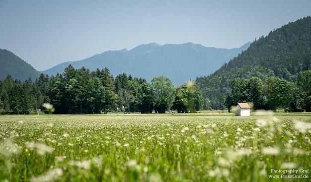 In this stunning image, we see a picturesque scene of a field of flowers with a house in the distance. The foreground is dominated by a lush field of green grass with white flowers scattered throughout. A lone tree stands tall in the center, adding a touch of nature to the landscape. In the background, we can see a mountain range stretching across the horizon under a clear blue sky. The scene evokes a sense of tranquility and serenity, with the small white building with a red roof adding a charming touch to the rural setting. This image perfectly captures the beauty of nature in its purest form.