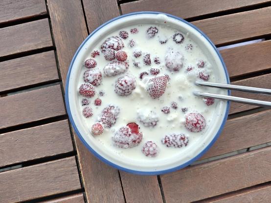 Eine Schale mir Erdbeeren und Walderdbeeren in Sahne, ein Löffel steckt in der Schale