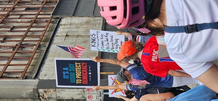 In the foreground, the backs of protestors are visible. Signs held above people's head read, "IT'S A GOOD DAY TO PROTECT DEMOCRACY." Another sign reads, "KINGS: Martin Luther King, Stephen King, Billie Jean King, George Strait, King Kong, Trump" with green checkmarks next to all the names except Trump's which is struck through in red.