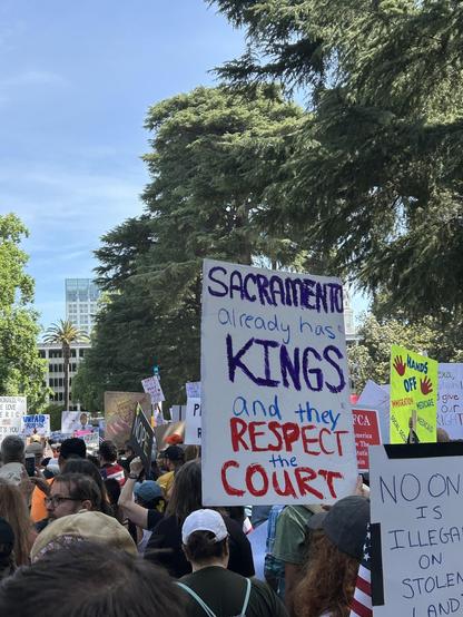 Protesters at the CA state Capitol in Sacramento. The most prominent sign reads, “Sacramento already has KINGS and they respect the Court” 
Posted on Reddit r/sacramento by u/ceqaceqa1415