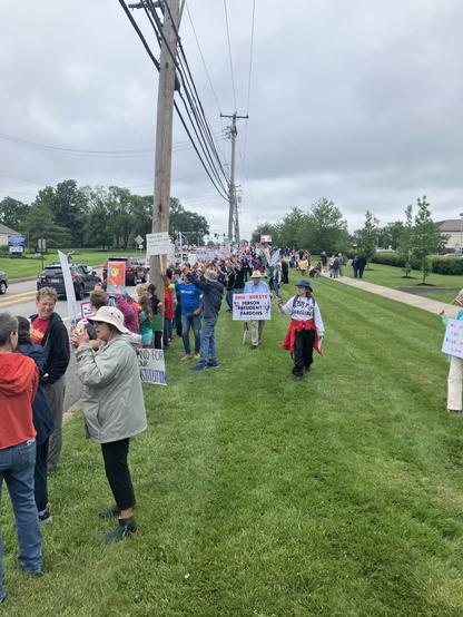 A large group of people is participating in a protest along a grassy area beside a road. They are holding various signs with messages related to their cause. The sky is overcast, and there are power lines overhead.