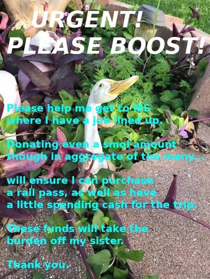 Test image of a decorative goose in a planter with text over it