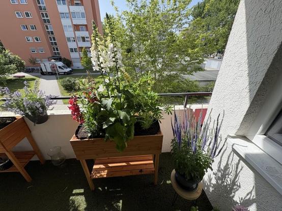 Neue Wohnung - Neuer Balkon