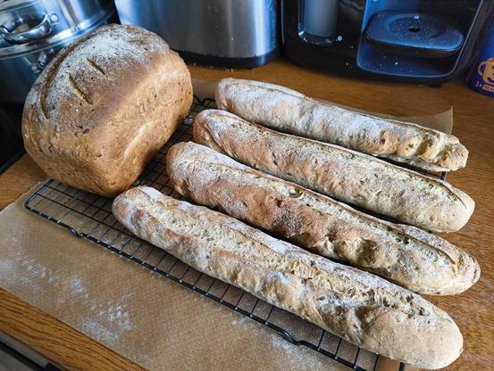 Four flour dusted multigrain baguettes.