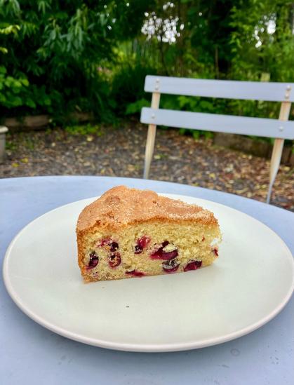 A photo of a slice of cake on a plate on a lilac grey bistro table with a chair behind. The cake is a yellow sponge speckled with fresh blackcurrants. There’s a crunchy dusting of sugar on the top. There is a lot of greenery in the background.