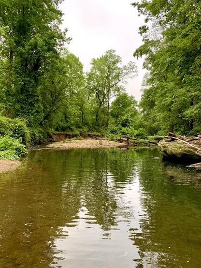 A view of a pebble island in a creek where the water splits into two branches after a slow-moving stretch. The scene is set under a cloudy sky, with deep woods in the background.