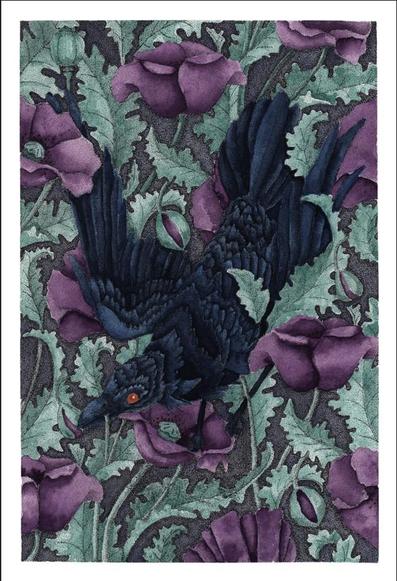 A dotwork and watercolour image of an orange-eyed crow surrounded by purple poppies and their pale green leaves.