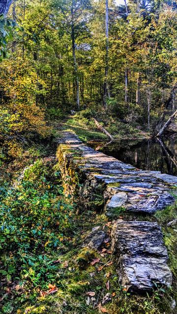 In the gold-tinged sunshine of a beautiful October afternoon, we are standing beside an old, overgrown, rustic stone dam on a lake surrounded by forest. Just the very tip of the lake is visible to the right of the dam, a riotous growth of shrubs hides our view of the outlet stream to our left. Some autumn golds and oranges are beginning to emerge from the green forest. A path through the forest leads up to and across the dam, my brother's dog (hi, Nutmeg) has just come around a turn in the distance.