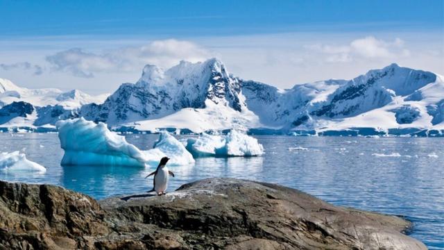 Neither dinosaurs nor glaciers - the amazing lost world emerging from Antarctic depths - prehistoric life that remained buried