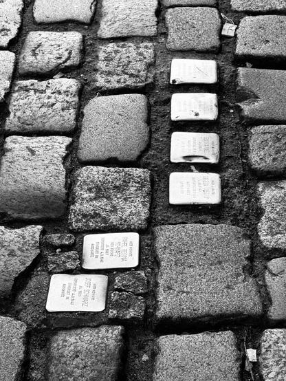 A close-up view of cobblestone pavement featuring several commemorative brass plaques embedded within the stones, honoring individuals. The image is presented in black and white, highlighting the textures of the stones and the inscriptions on the plaques.