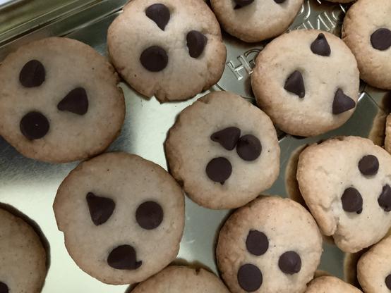 Chocolate chip cookies with golden brown edges on a gold lid