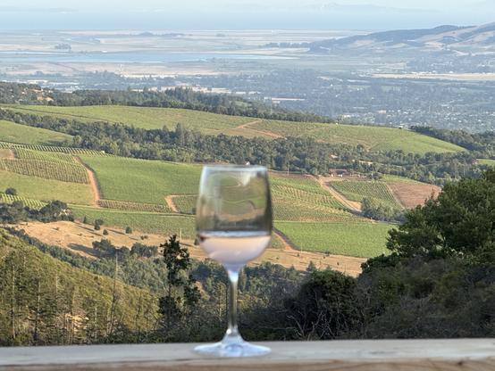 A wine glass on a railing with vineyards in the distance