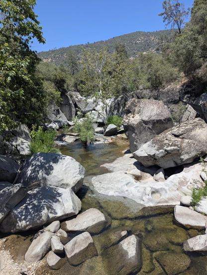 Big Creek in Haslett Basin