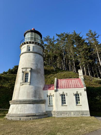 A historic lighthouse with a glass lantern room and a red roof is situated against a clear blue sky. Surrounding the lighthouse are tall green trees and a grassy area in the foreground.