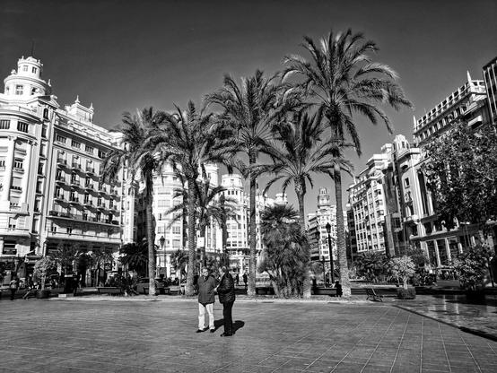 A black and white wide-angle shot of a sunny square in Valencia, Spain, with tall palm trees lining the centre. Two old white men stand in the foreground, facing right, engaged in conversation. On either side, grand multi-storey buildings with ornate architecture stretch into the distance. The ground is paved with large, light-coloured tiles, and several benches are visible under the trees. The sky is bright with no clouds.