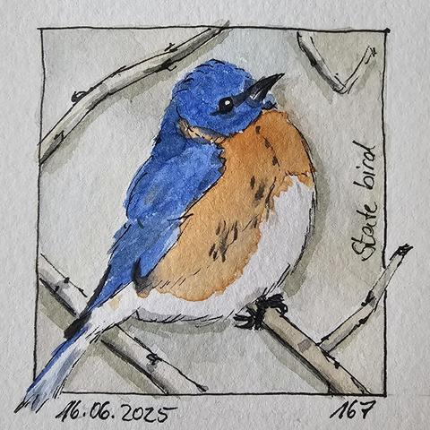 Aquarell: Kleiner Blauvogel auf einem Ast