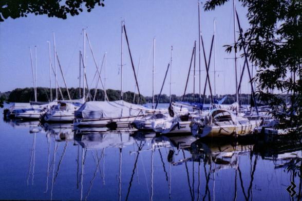Photo of sailboats moored at a dock in a lake. The sky is blue and cloudless, and the boats' reflections can be seen on the calm water. In the background, a small island with trees growing on it can be seen.