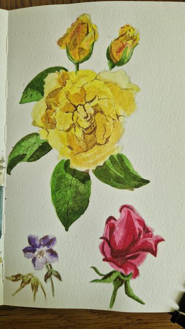 Les mêmes, une fleur violette d'espèce inconnue les a rejointes