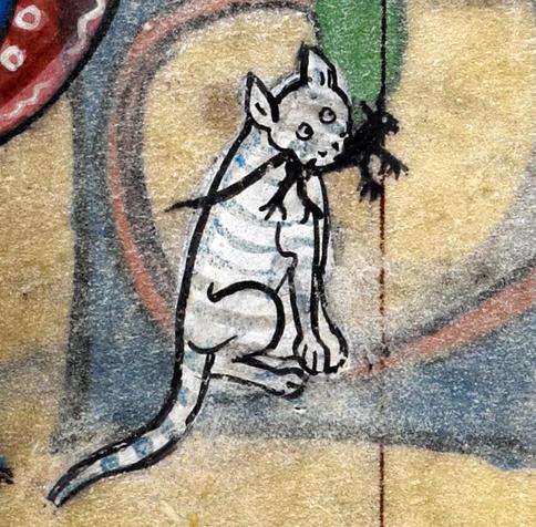 White #cat, black #mouse. ‘The Maastricht Hours’, Liège 14th century. British Library, Stowe 17, fol. 75v.
#medieval #MedievalArt
