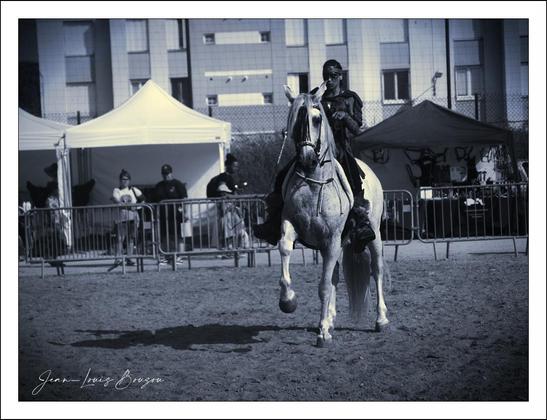 The horse, a majestic white steed, is captured mid-motion, with one front leg raised, conveying pride, strength, and grace.
The background contrasts the historical feel with a modern urban setting—high-rise buildings and tents suggest a city environment where this event might be held, possibly as part of a festival or showcase blending past and present. Spectators can be seen behind metal barricades, adding to the atmosphere of a public spectacle.
The tents and the fencing reinforce a controlled event space, while the monochrome palette lends a timeless quality, emphasizing the texture, light, and shadow over color distractions. This artistic choice enhances the dramatic effect, highlighting the stark contrast between the dark figure and the bright horse.
Symbolically, the image taps into themes of valor, tradition, and the human connection to horses, a bond steeped in history and culture across many civilizations. The poised stance of both rider and horse conveys discipline, partnership, and readiness, inviting viewers to appreciate not just the aesthetic but the story behind this moment frozen in time.