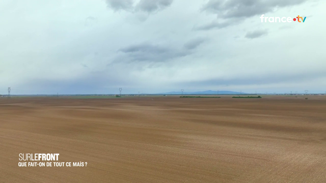 monoculture du maïs hybride sans besoin de rotation des terres = gain de #temps -> rendement #profit + pas de régénération sans pesticides = #terre morte.