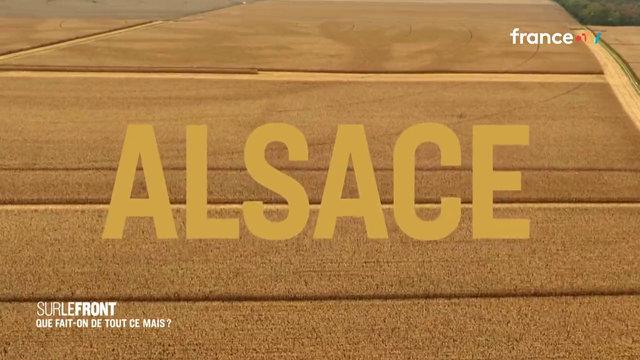 Alsace