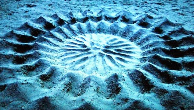 Pattern in sand beneath the ocean made by pufferfish