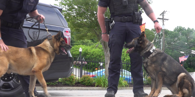 London police recognize retiring K-9’s after drug bust