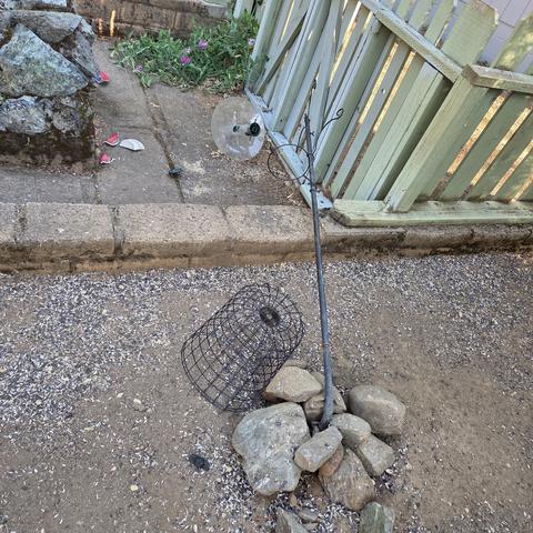 A black metal pole is bent completely over to the bricks of a retaining wall. It’s bent at the base where it’s anchored in large stones in bare dirt covered with shells from sunflower seeds from the birdseed. The black wire cage of a birdfeeder lies next to the pole. Toward the top of the image, the center plastic core and cap of the birdfeeder lie on paving stones, and pieces of shattered red ceramic bowl lie to the left of it. In the background is a green picket fence, a patch of vetch with magenta flowers, and the back end of the rock fountain.