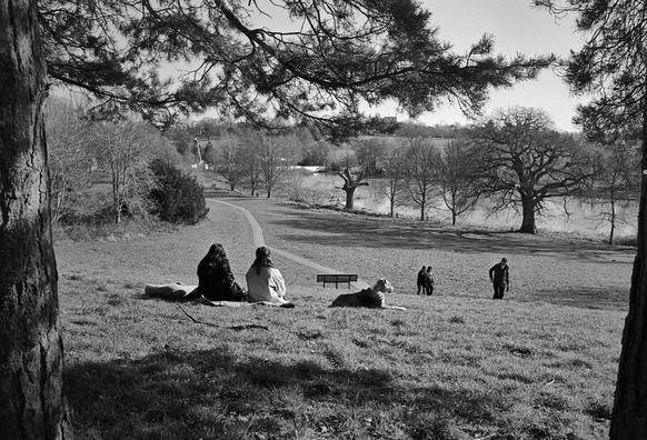 Black and white photo looking down the hill of a park from under a tree. In the foreground, two figures sit on the ground, their dog a short distance away looking to the right. Three other figures, the one in front perhaps elderly, walk up a diagonal path towards the right; the path runs down the hill, not quite straight, past a bench before disappearing behind some trees mid left. In the middle section a small lake can be seen behind some winter trees. If you want a mood, it's contemplative.