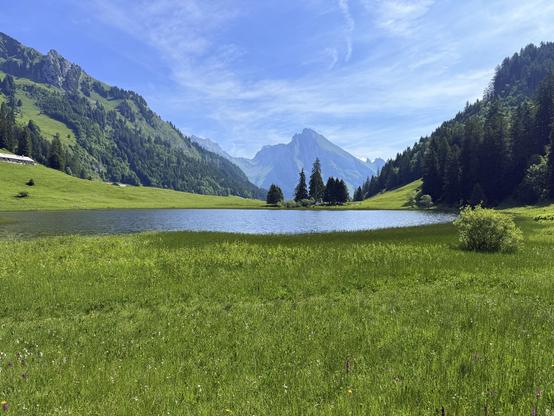 eine wiese vor dem see vor den tannen vor dem
berg