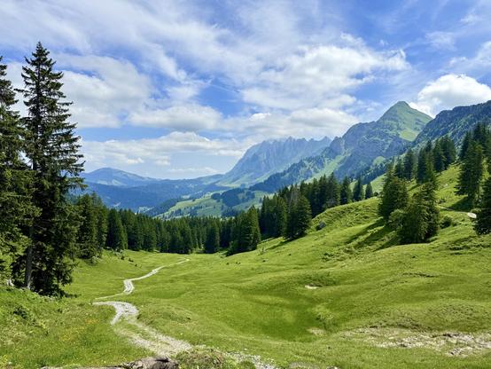 wiesenlandschaft , wald und berge