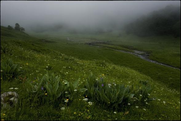 CAT
De moment no plou.
Tanmateix una boira
esborra l'horitzó enllà.
De moment no plou.
Tanmateix les flors 
potser esperen el sol.
No plou, ni fa sol.

OC
Plòu pas pel moment.
Pasmens, una nèbla
esfondra l'orizont al delà.
Plòu pas pel moment.
Pasmens, las flors
benlèu esperar lo solelh.
Plòu pas, ni solelh