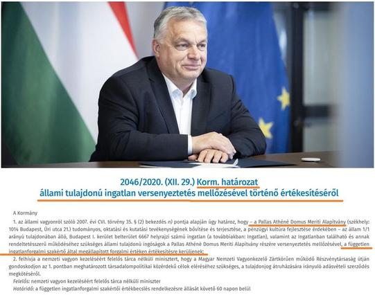 Vastagbőr