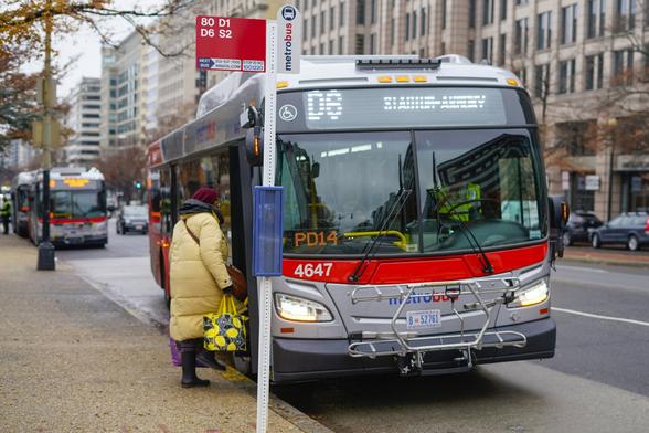 Public Transit Free Fares
