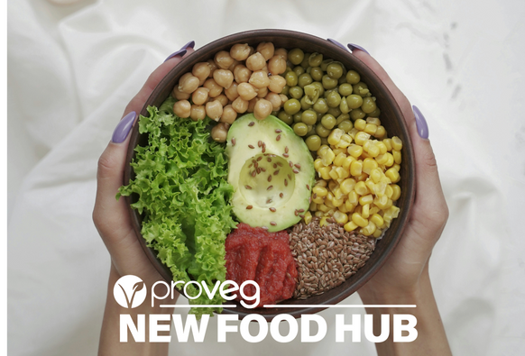 ProVeg International new food hub